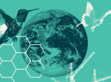 Graphic of the Earth, a hummingbird, a butterfly and geometric shapes over blue background